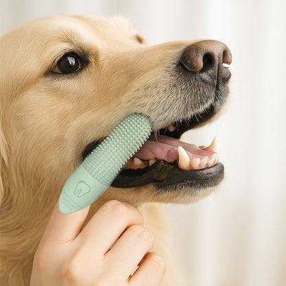 UltraFresh brosse a dent chien sur le doigt d'une femme sur la bouche se son chien