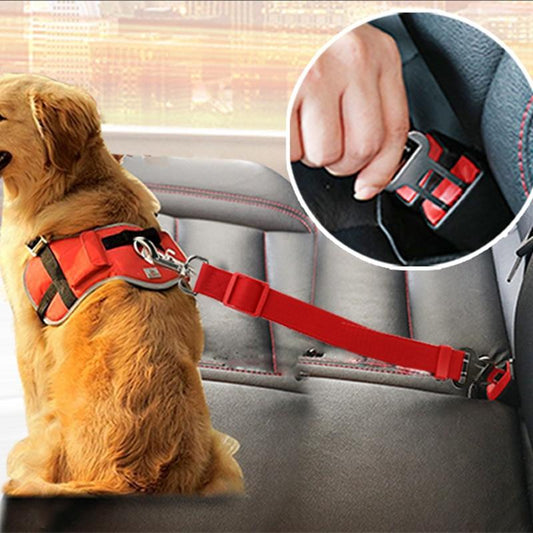 BeltPet™ - Ceinture de siège pour animal de compagnie - Action Canin