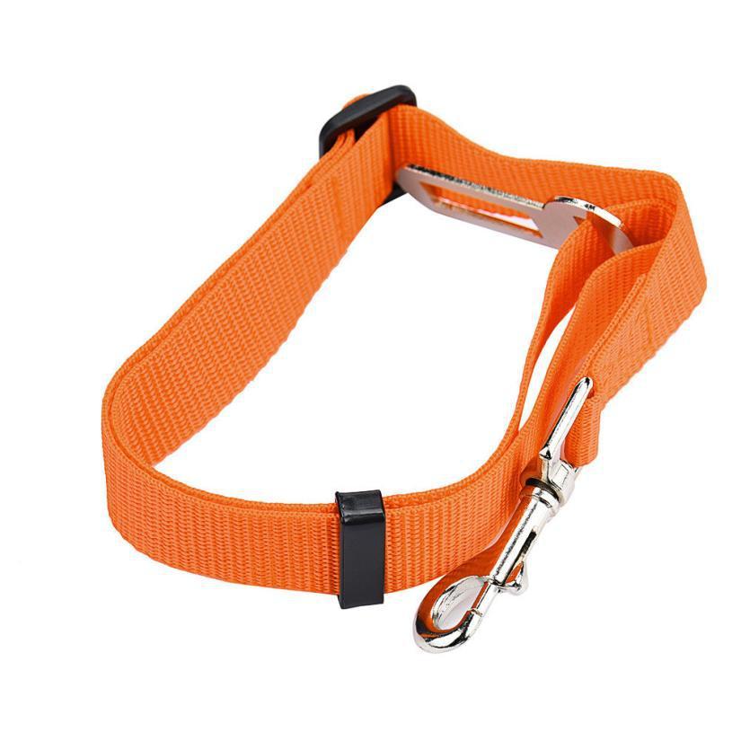 BeltPet™ - Ceinture de siège pour animal de compagnie - Action Canin