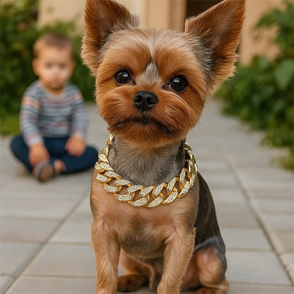 Collier pour chien