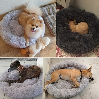 doggypouf 4 coussins doux pour chien avec quatre chien different sur chaque coussin
