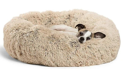 doggypouf coussin doux pour chien beige avec un chien blanc et brun