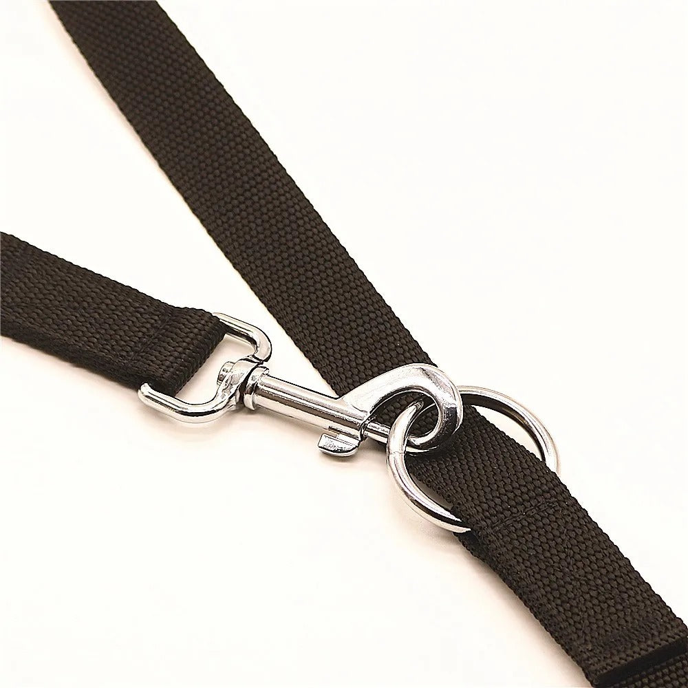 laisse ajustable nylon noir attache