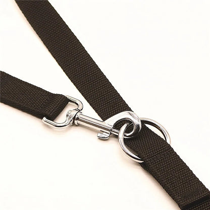 laisse ajustable nylon noir attache