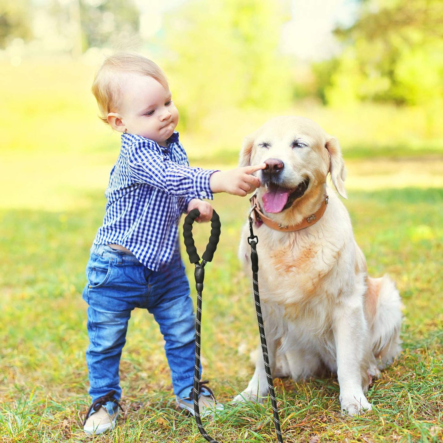 LaisseEduc™ - Corde en Nylon pour chien | Chien - Action Canin