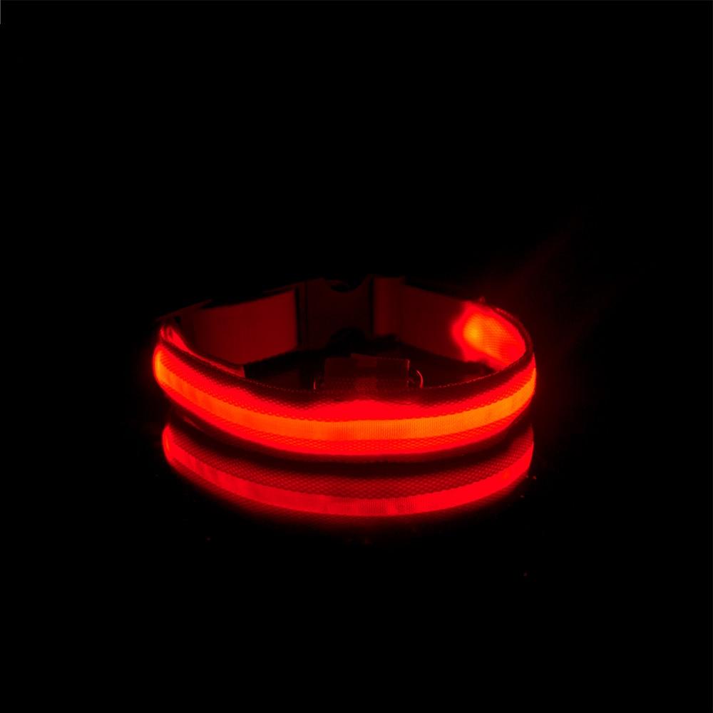 LedCollar™ - Collier à LED rechargeable pour chien - Action Canin