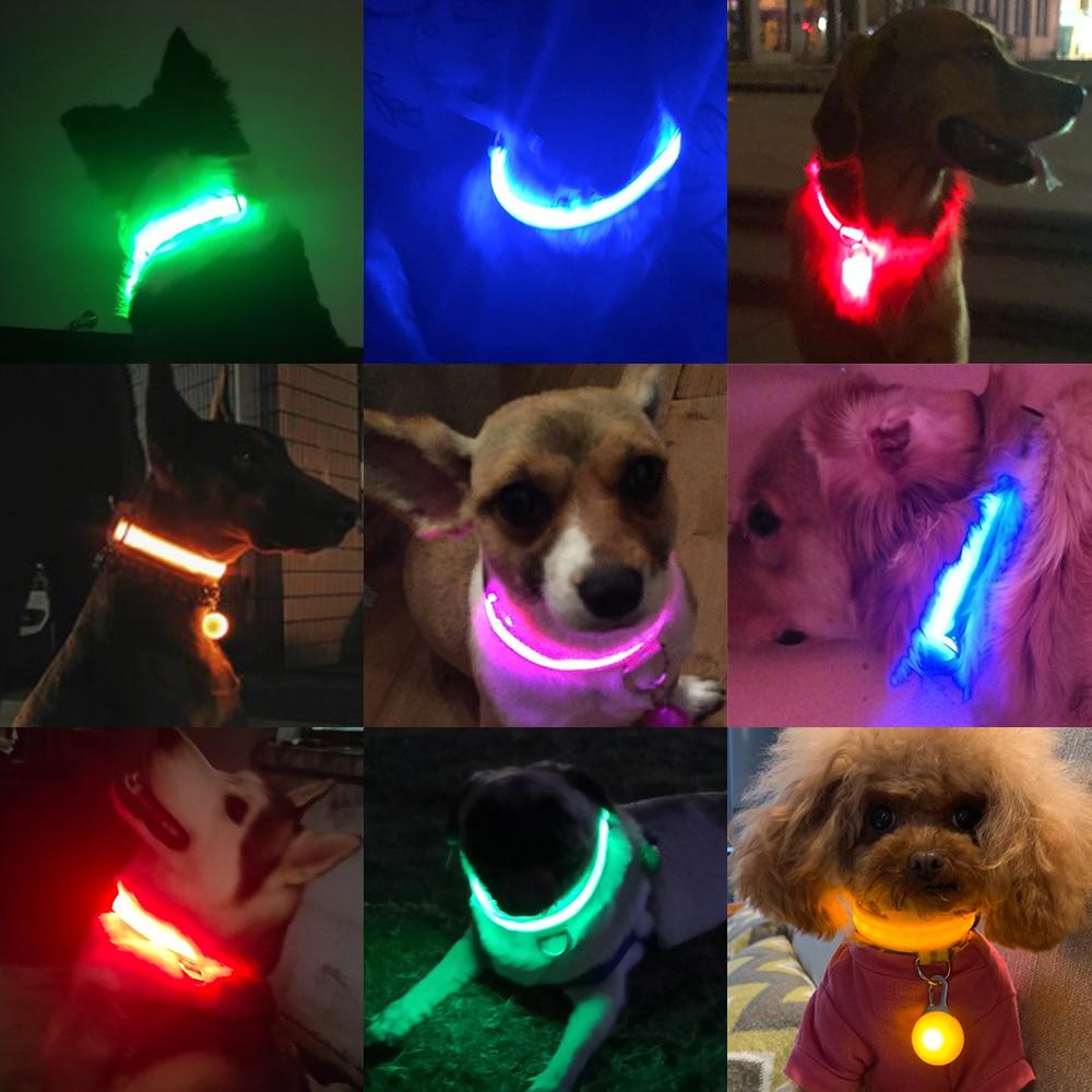 LedCollar™ - Collier à LED rechargeable pour chien - Action Canin