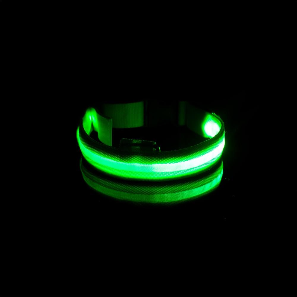 LedCollar™ - Collier à LED rechargeable pour chien - Action Canin