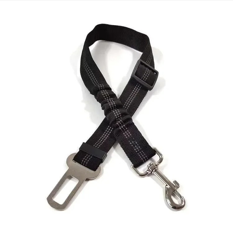 Ceinture chien voiture | SafeDrive